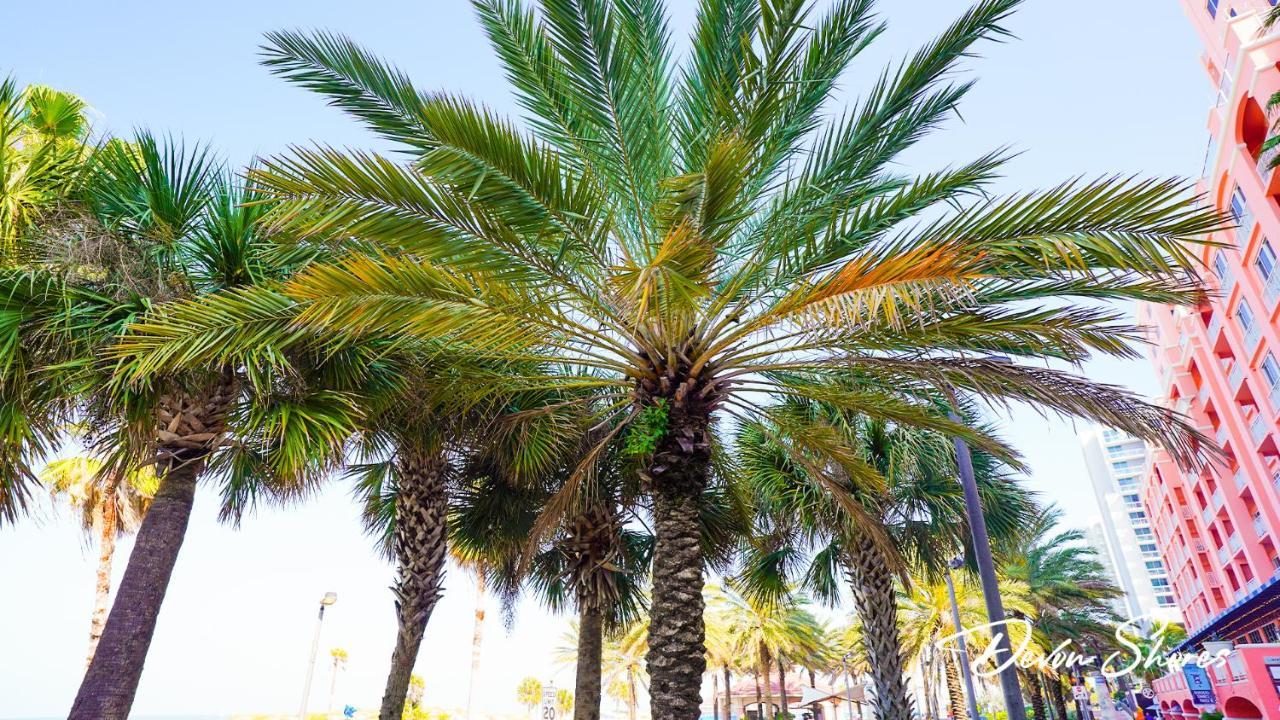 Devon Shores Clearwater Beach Exterior foto
